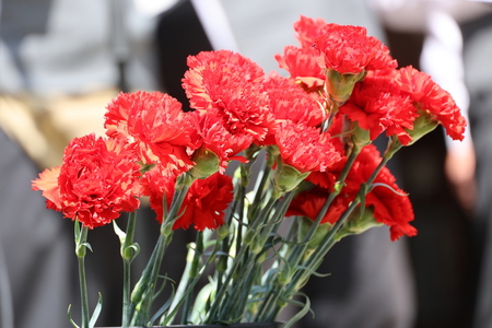 1. maj_Kam. Bistrica (14)